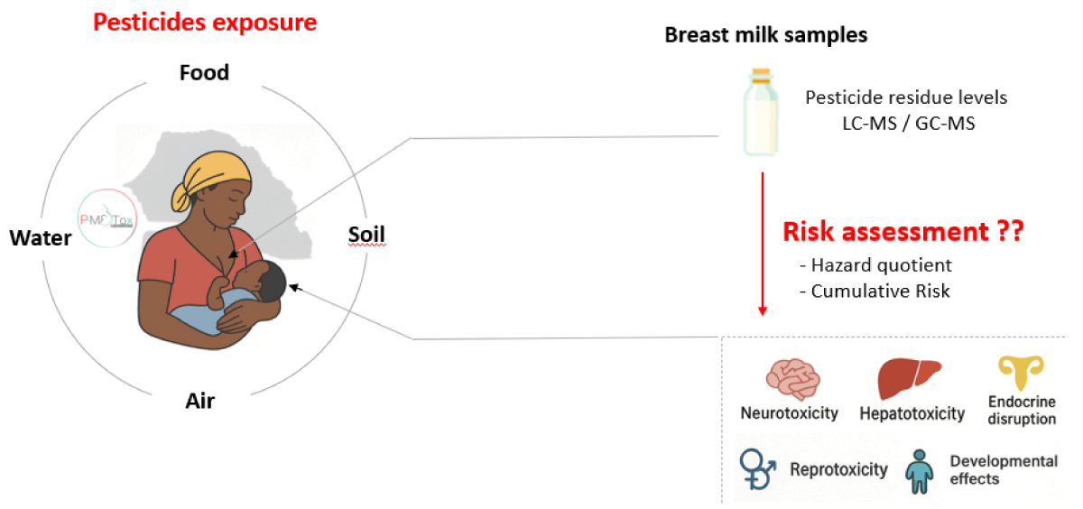 Analysis of Pesticide Residues in Breast Milk of Senegalese Women