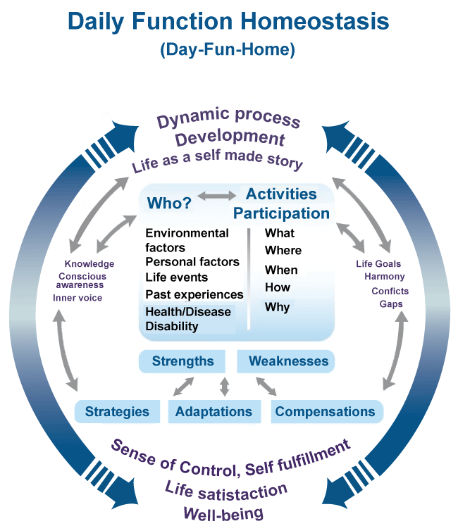 Towards Daily Function Homeostasis: A Conceptual Health..