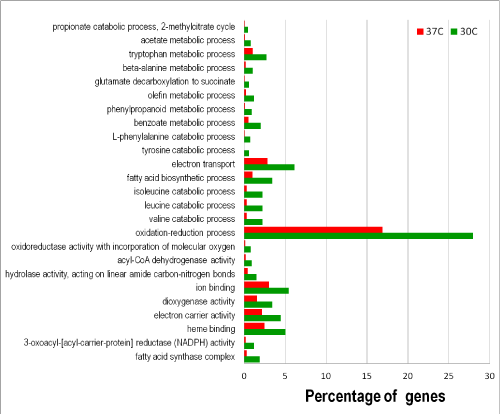 Figure 3: Functional categories of differentially expressed genes at 30�C and 37�C.
